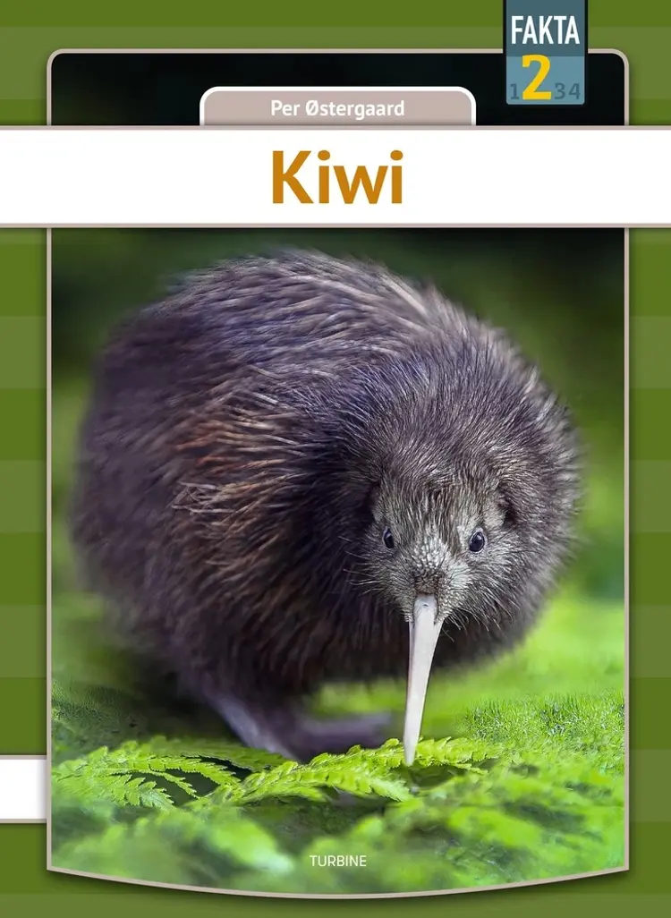 Kiwi af Per Østergaard