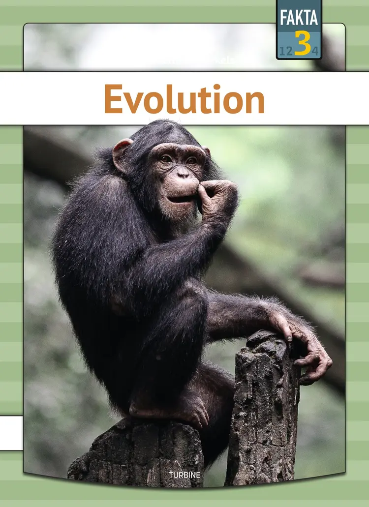 Evolution af Sigurd Toftdahl Terkelsen