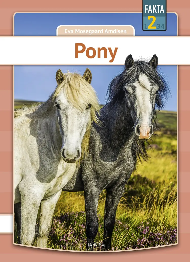Pony af Eva Mosegaard Amdisen