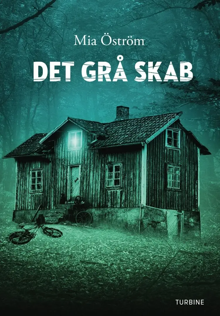 Det grå skab af Mia Öström