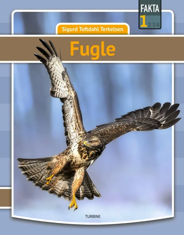 Fugle af Sigurd Toftdahl Terkelsen