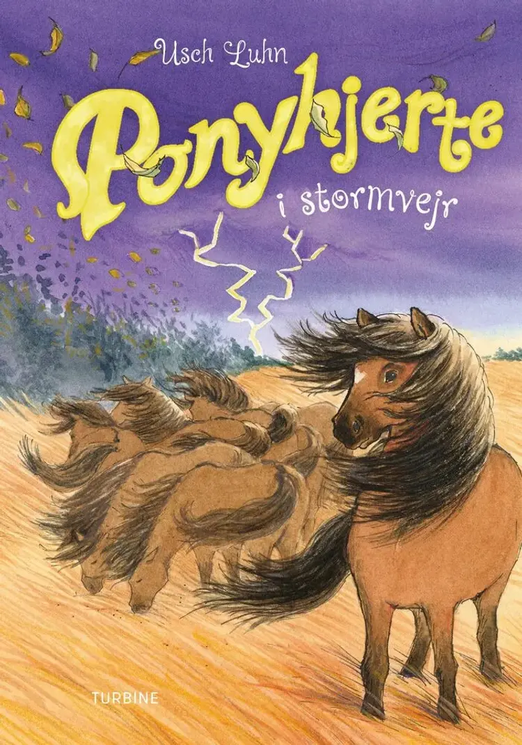Ponyhjerte i stormvejr af Usch Luhn