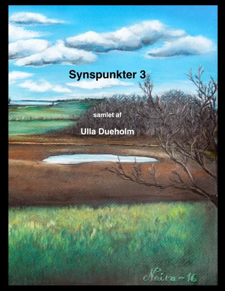 Synspunkter 3 af Ulla Dueholm