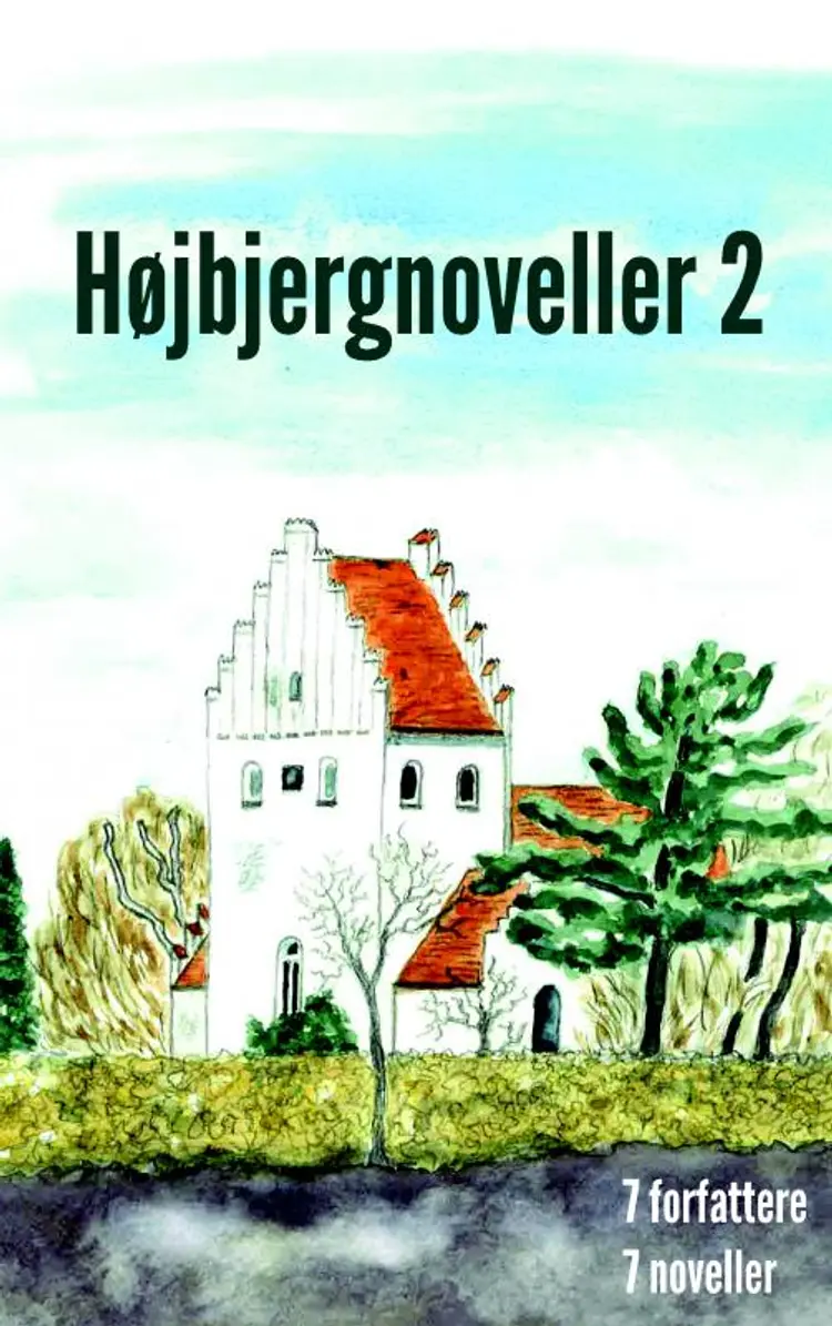 Højbjergnoveller 2 af Birgitte Thruesen