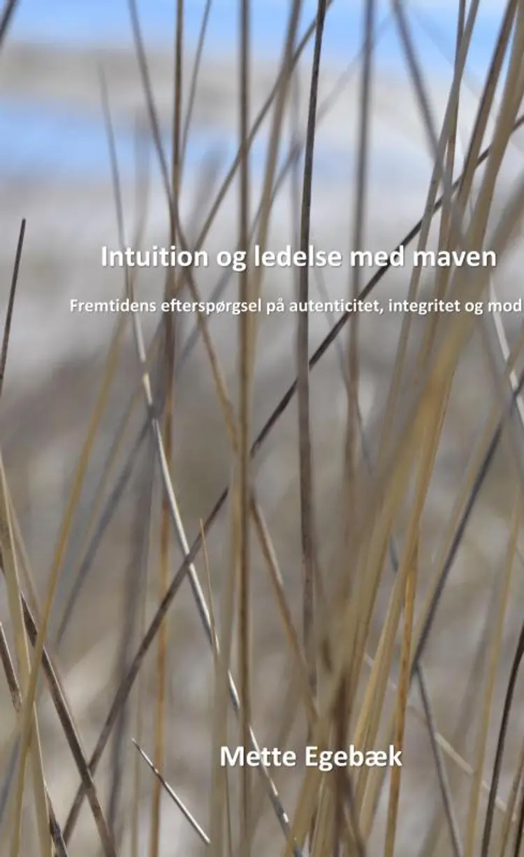 Intuition og ledelse med maven af Mette Egebæk