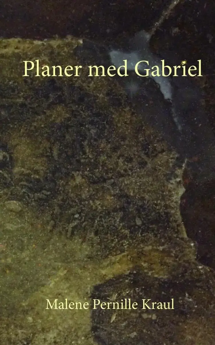 Planer med Gabriel af Malene Pernille Kraul
