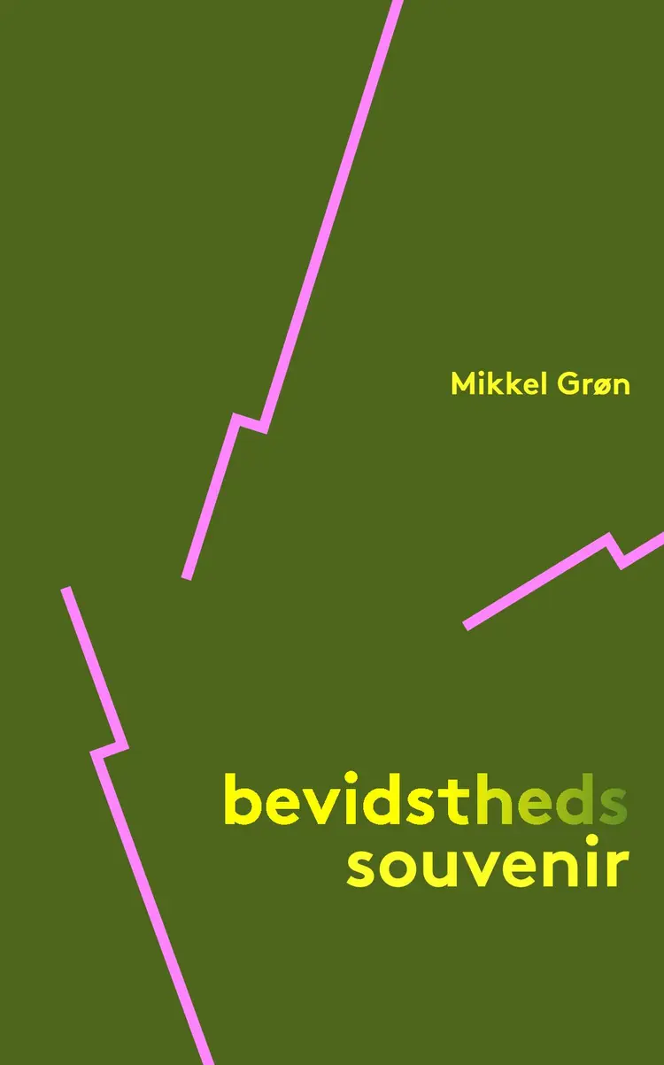 Bevidstheds souvenir af Mikkel Grøn