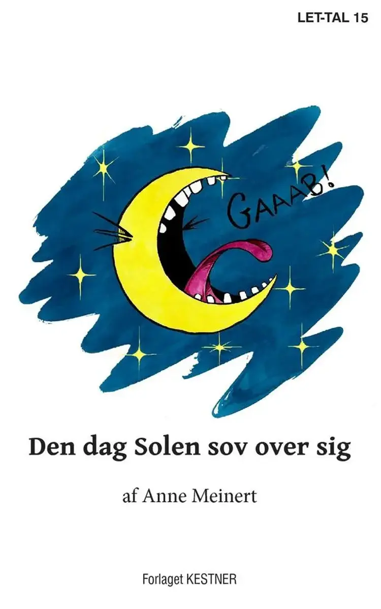 Den dag Solen sov over sig af Anne Meinert
