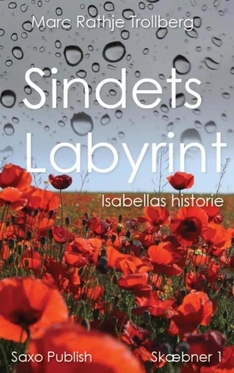 Sindets Labyrint af Marc Rathje-Trollberg