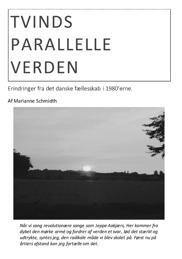Tvinds parallelle verden af Marianne Schmidth