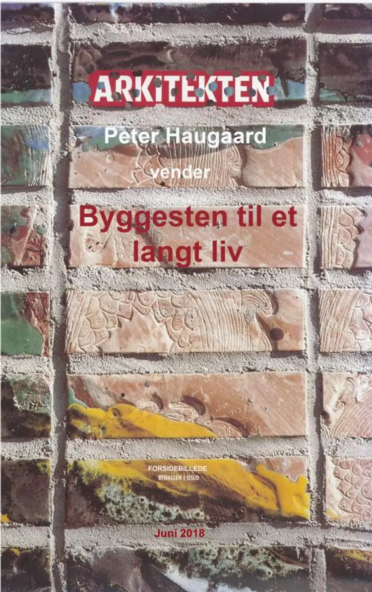 Byggesten til et langt liv af Peter Haugaard
