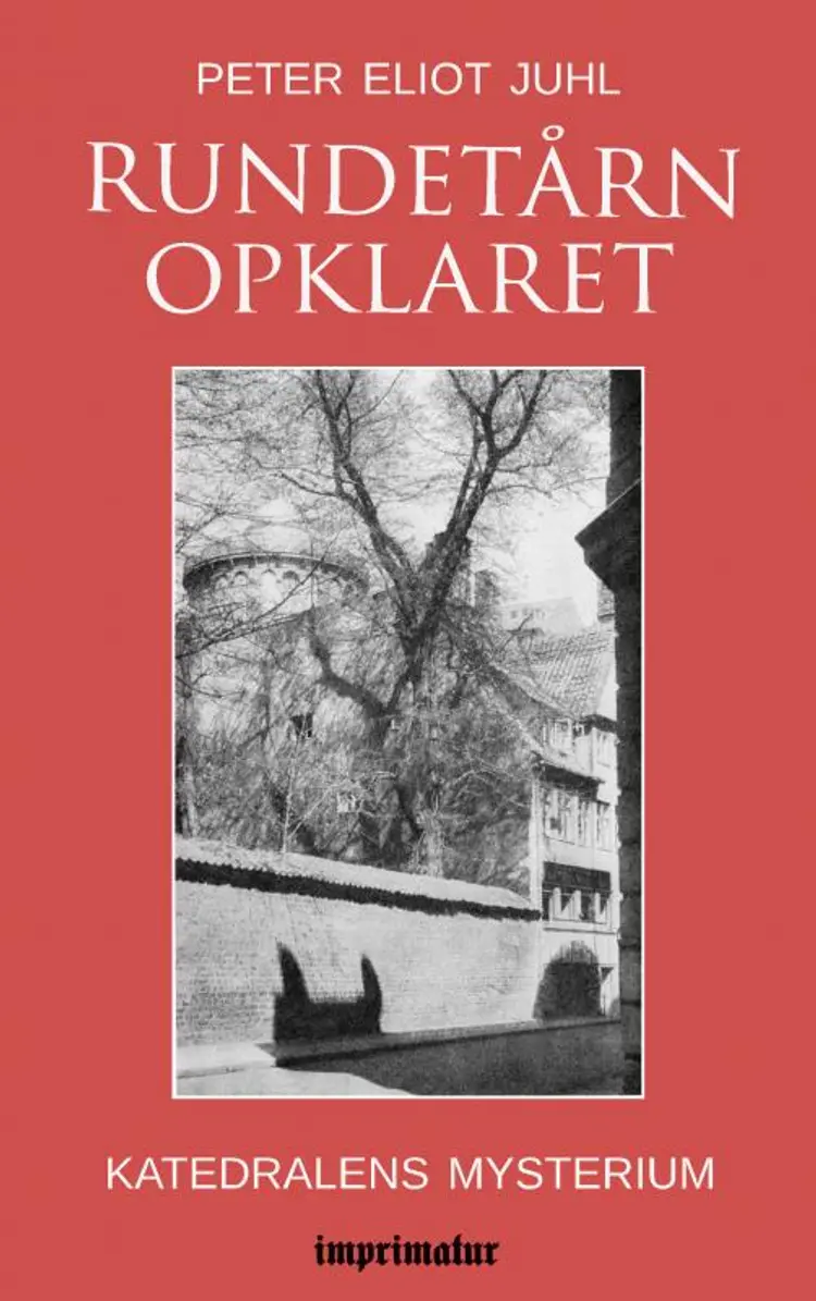 Rundetårn opklaret - katedralens mysterim af Peter Eliot Juhl