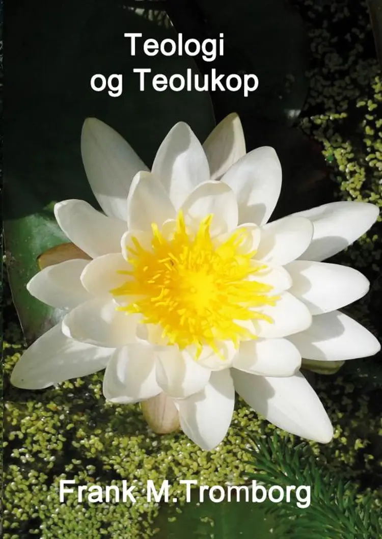 Teologi Teolukop af Frank Tromborg