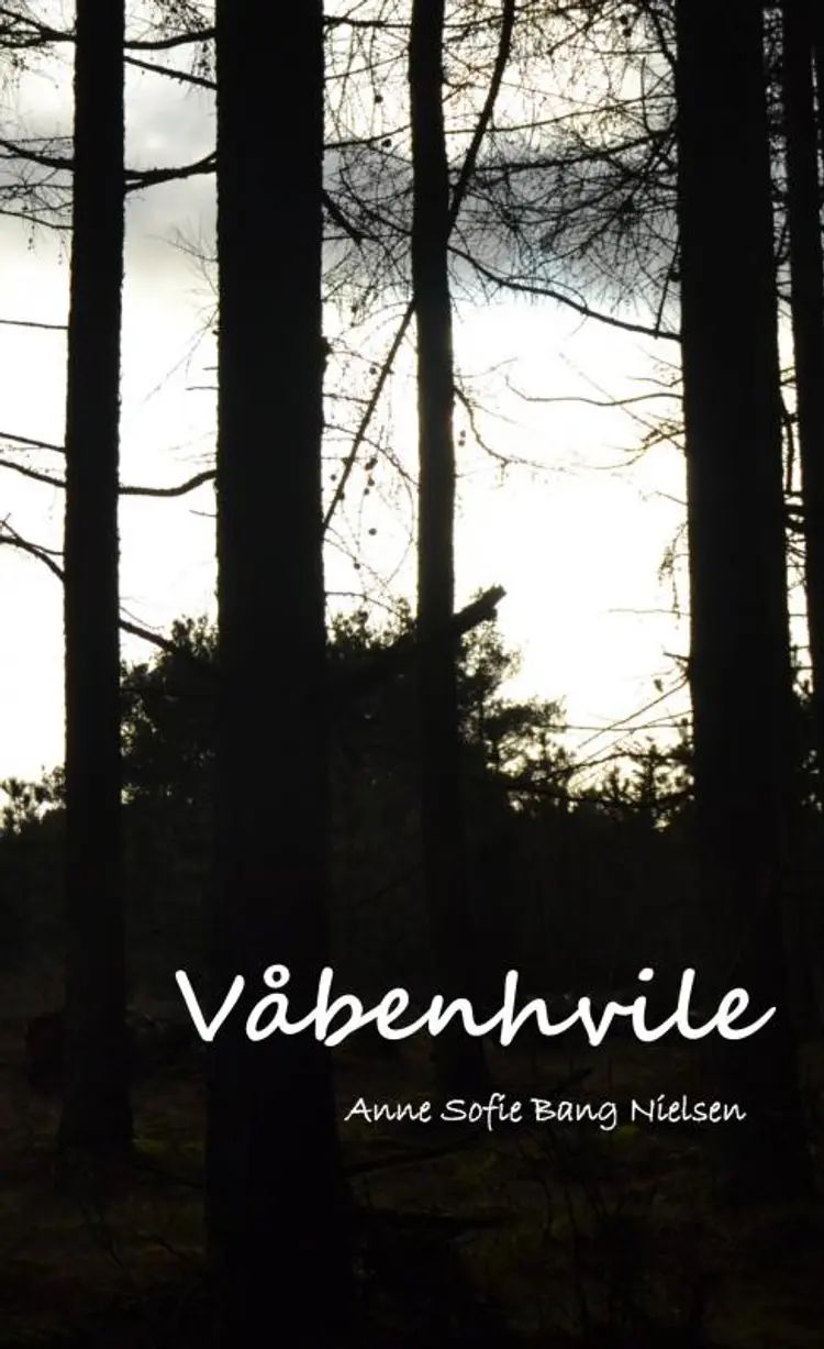 Våbenhvile af Anne Sofie Nielsen