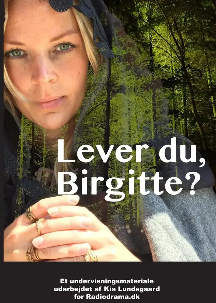 Lever du, Birgitte? af Kia Lundsgaard