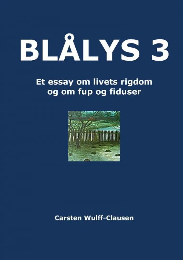 BLÅLYS 3 af Carsten Wulff-Clausen