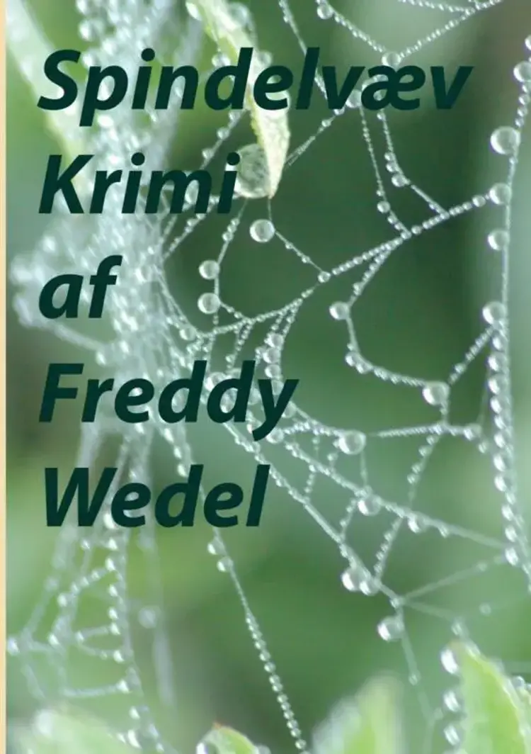 Spindelvæv af Freddy Wedel