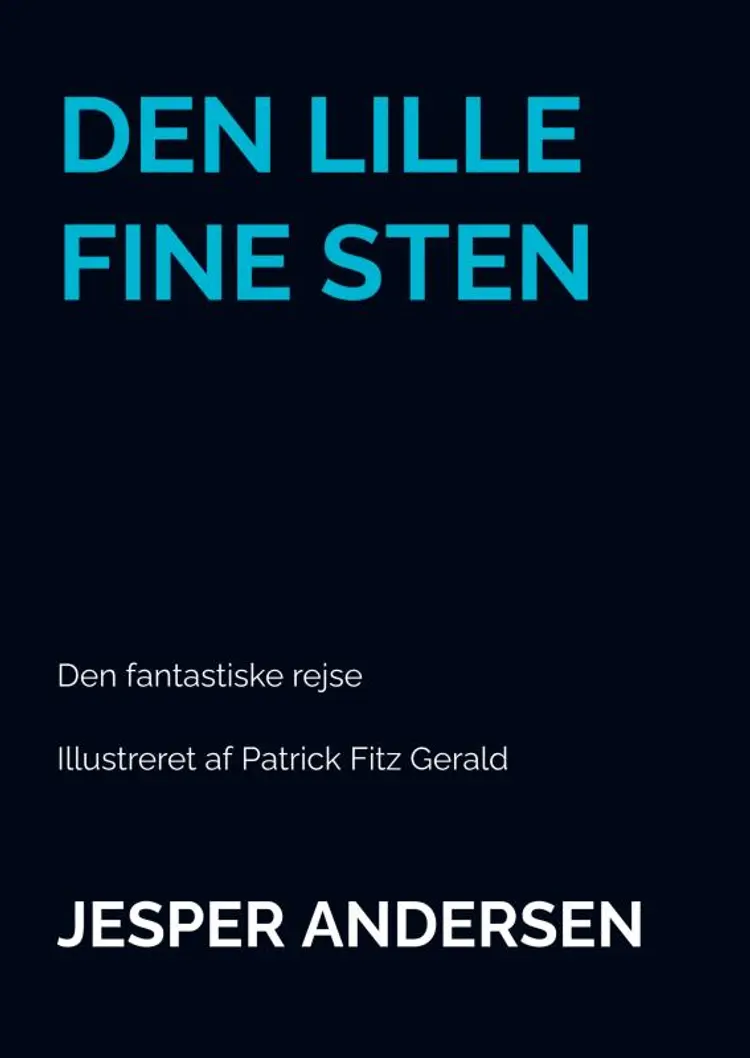 DEN LILLE FINE STEN af Jesper Andersen