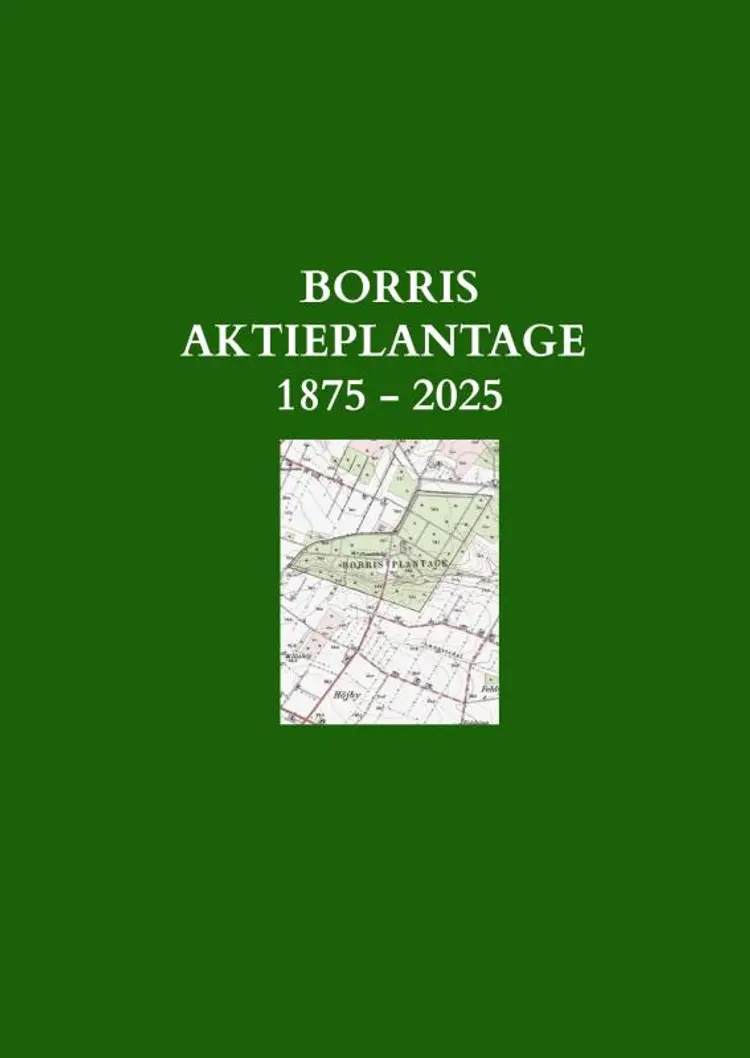 Borris Aktieplantage af Birgitte Rahbek Jensen