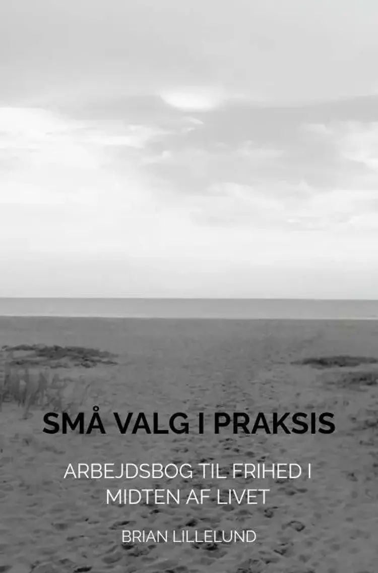 Små Valg i Praksis af Brian Lillelund