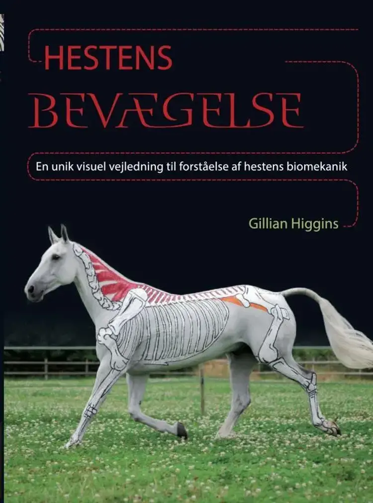 Hestens Bevægelse af Gillian Higgins