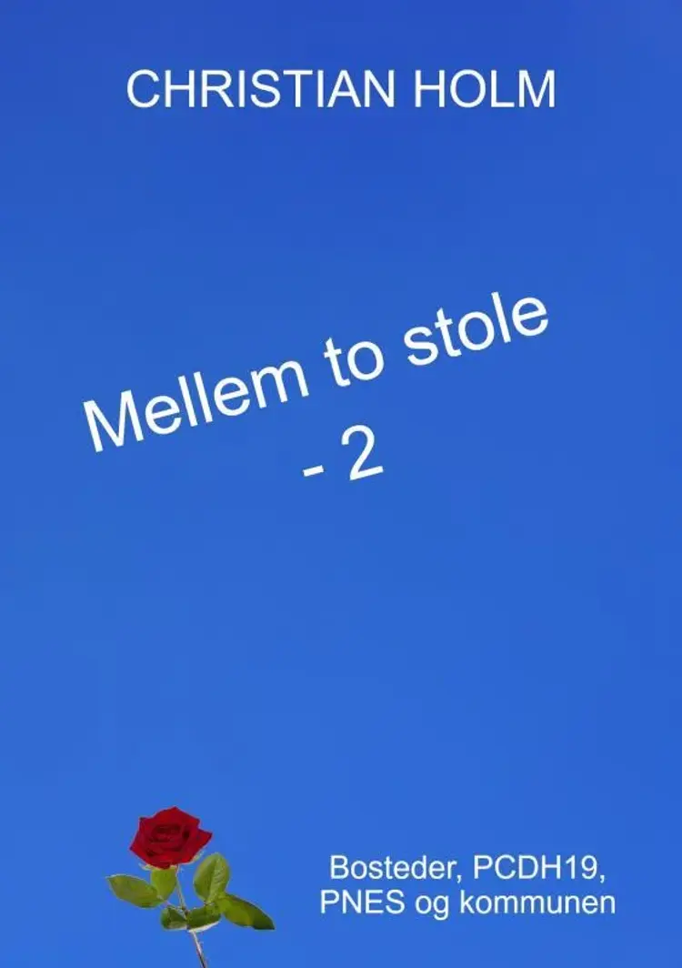 Mellem to stole af Christian Holm