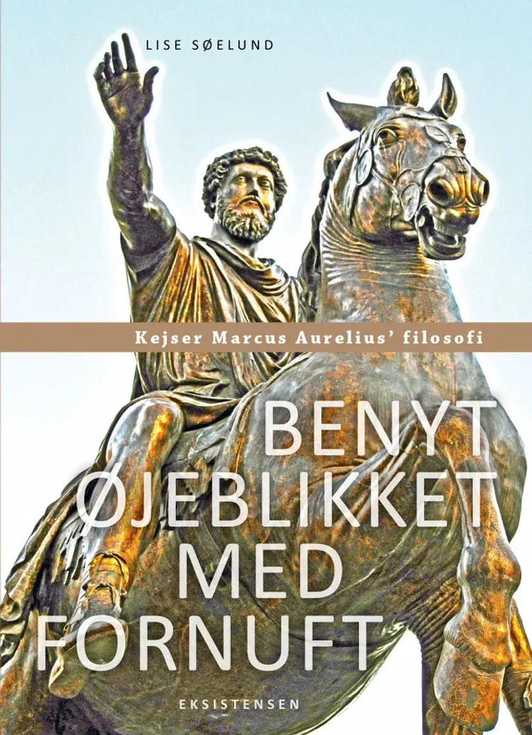 Benyt øjeblikket med fornuft af Lise Søelund