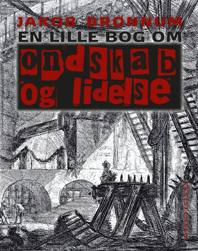En lille bog om ondskab og lidelse af Jakob Brønnum