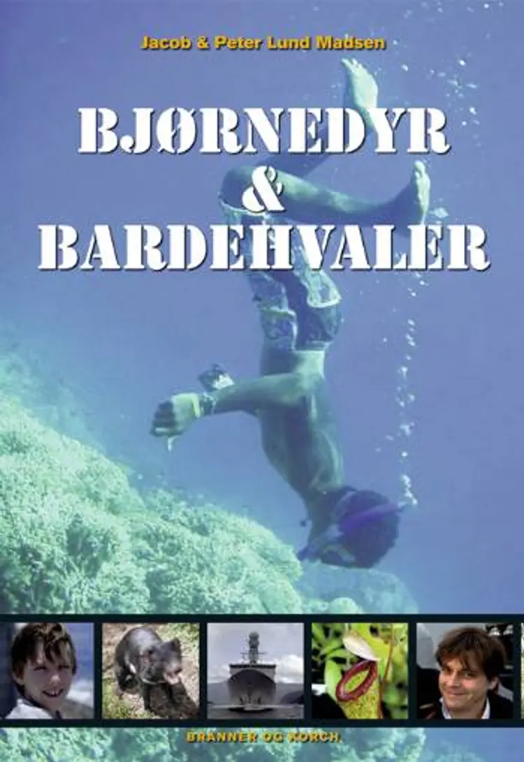 Bjørnedyr & bardehvaler af Peter Lund Madsen