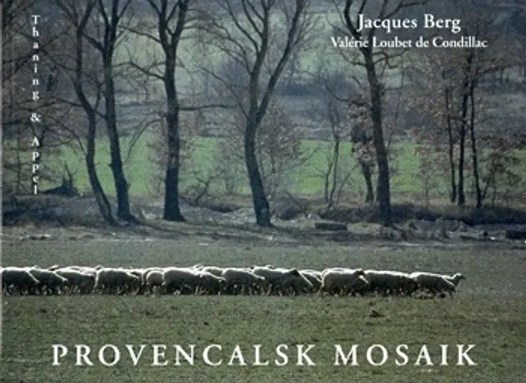 Provencalsk mosaik af Jacques Berg
