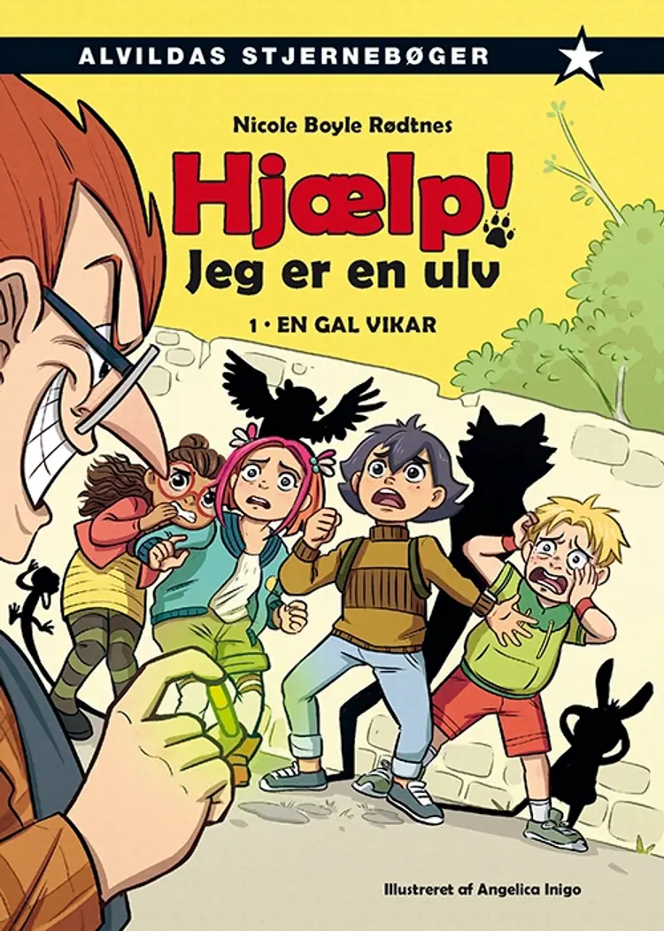 En gal vikar af Nicole Boyle Rødtnes