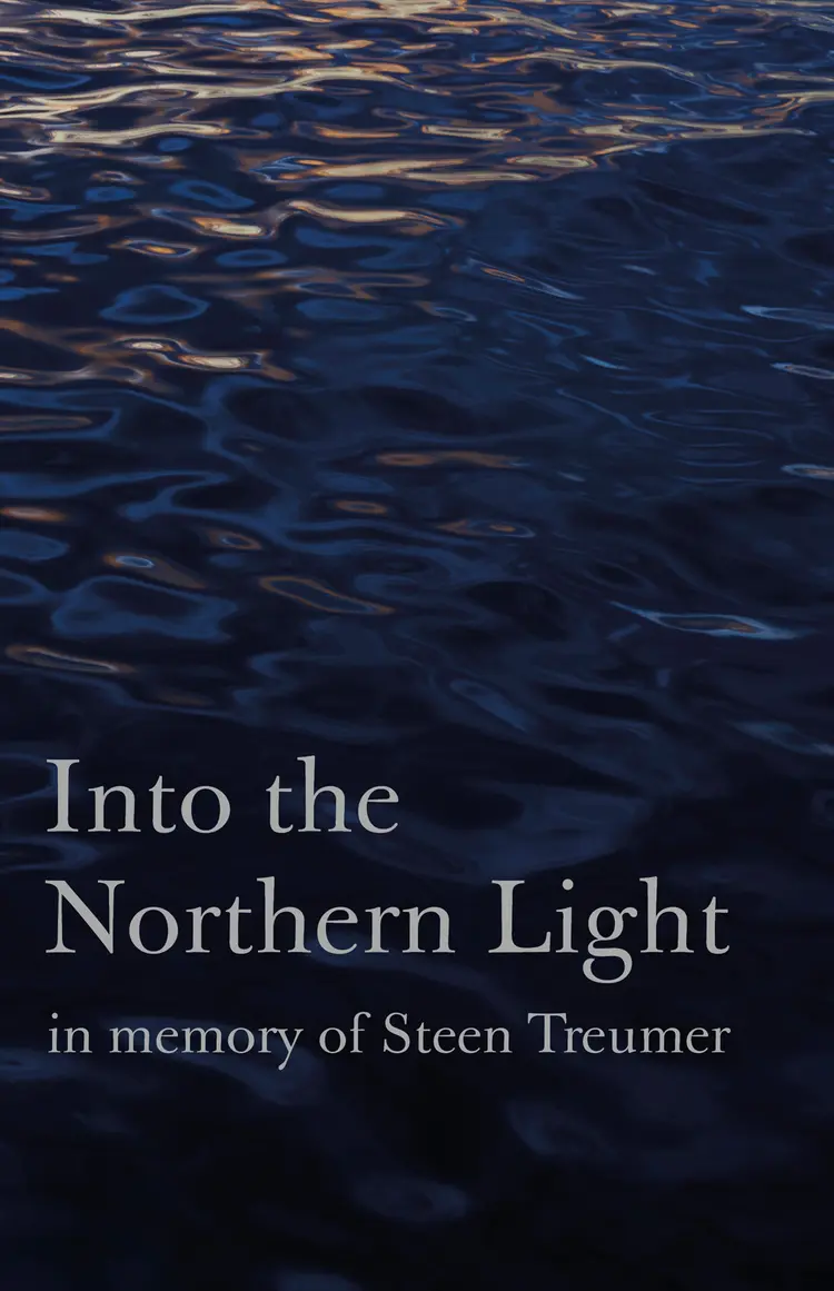 Into the Northern Light af Carina Risvig Hamer
