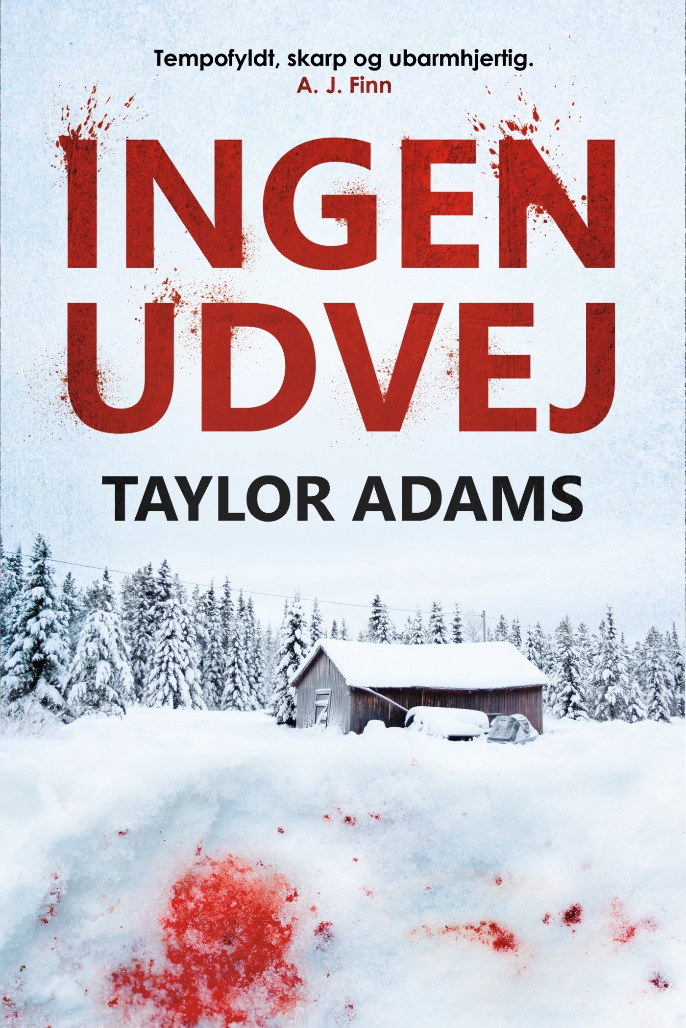 Ingen udvej cover