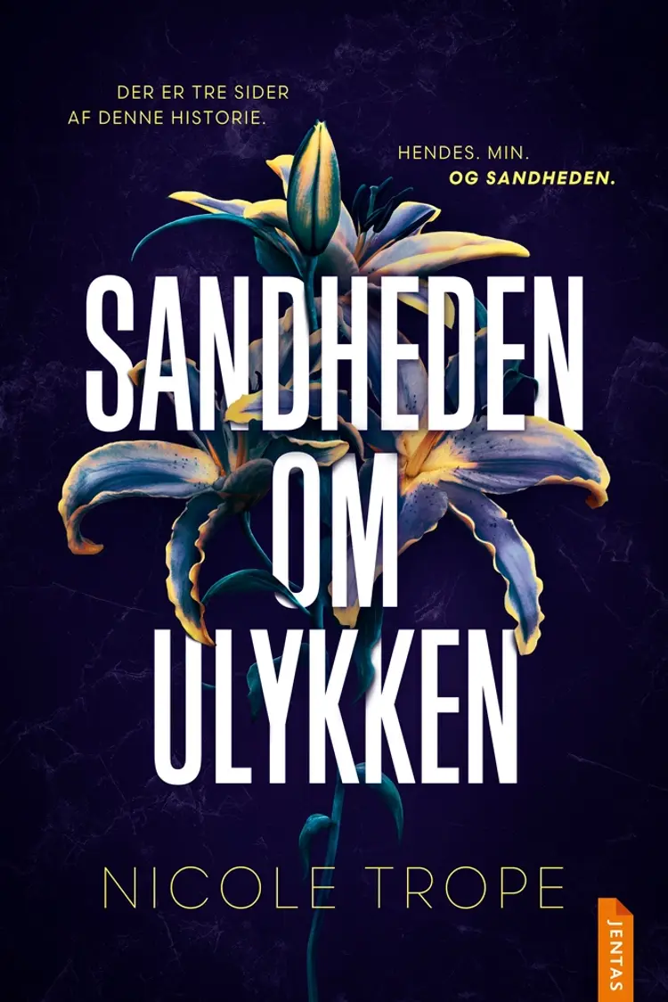 Sandheden om ulykken af Nicole Trope