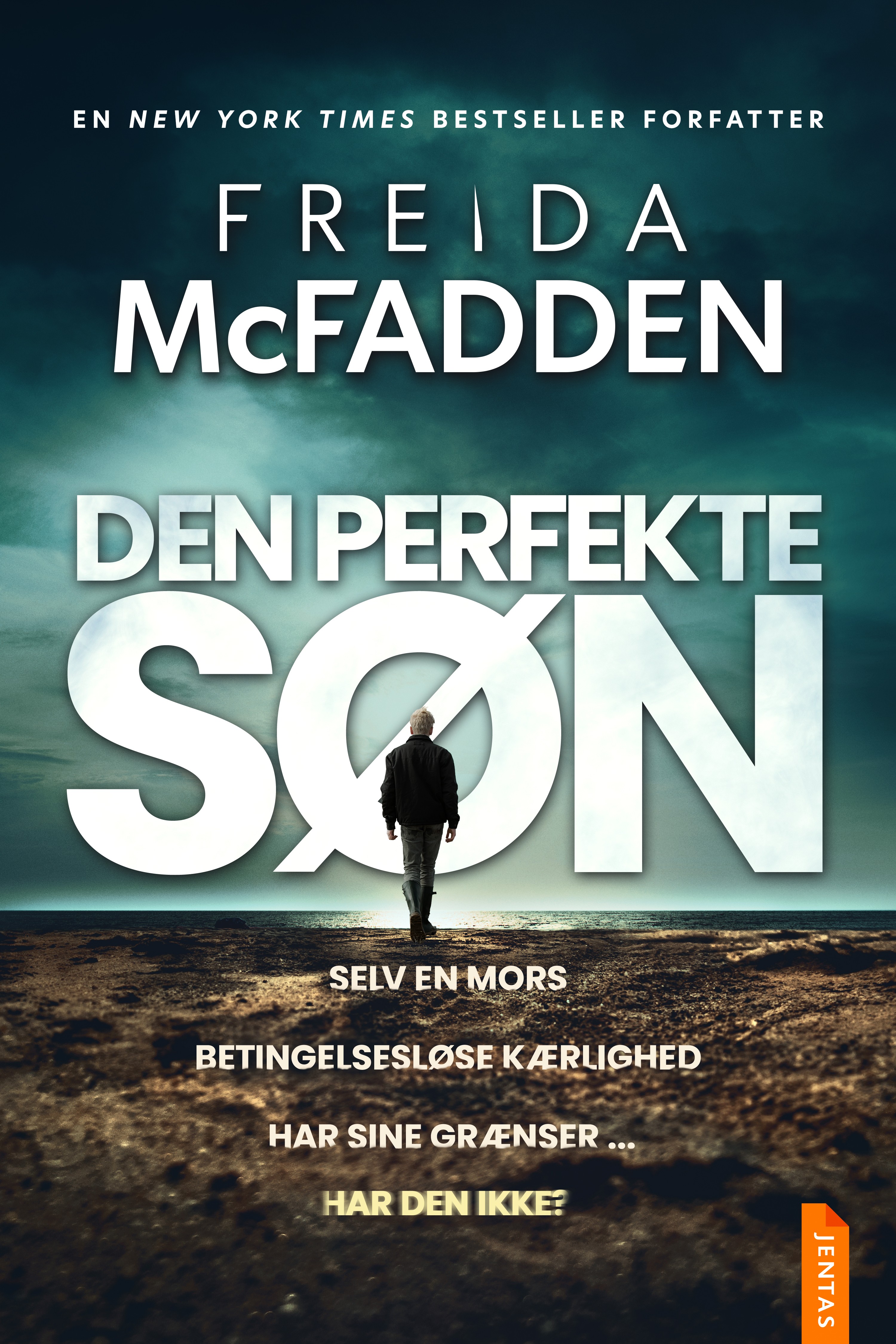 Den perfekte søn cover
