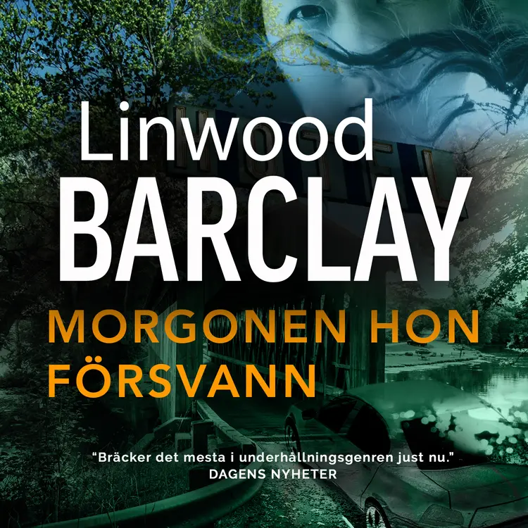 Morgonen hon försvann af Linwood Barclay