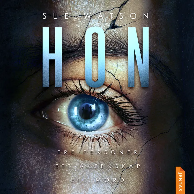 Hon af Sue Watson