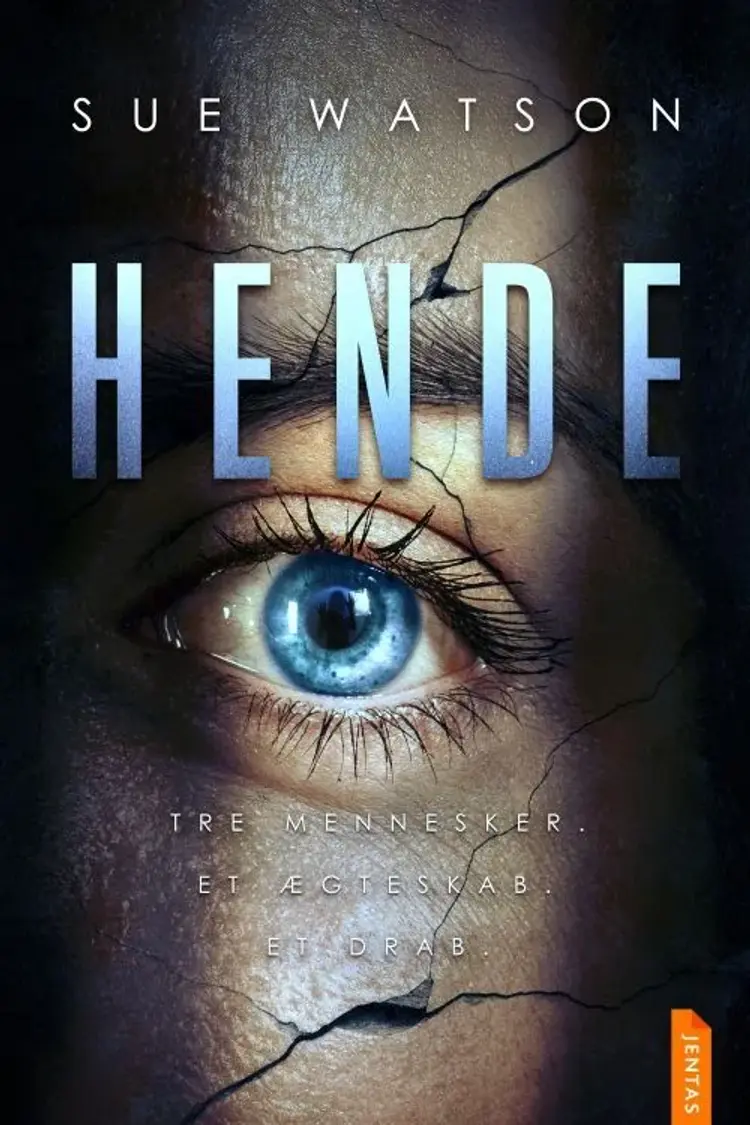 Hende af Sue Watson