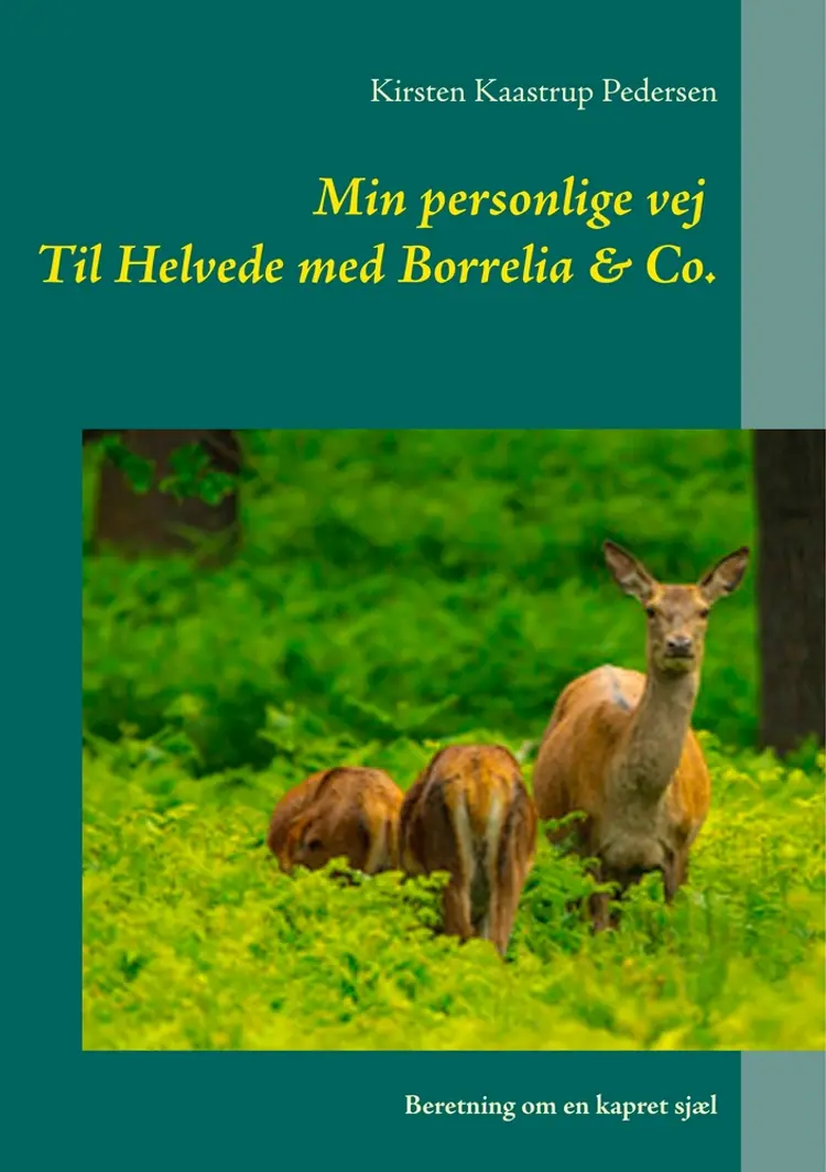 Min personlige vej Til Helvede med Borrelia & Co. af Kirsten Kaastrup Pedersen