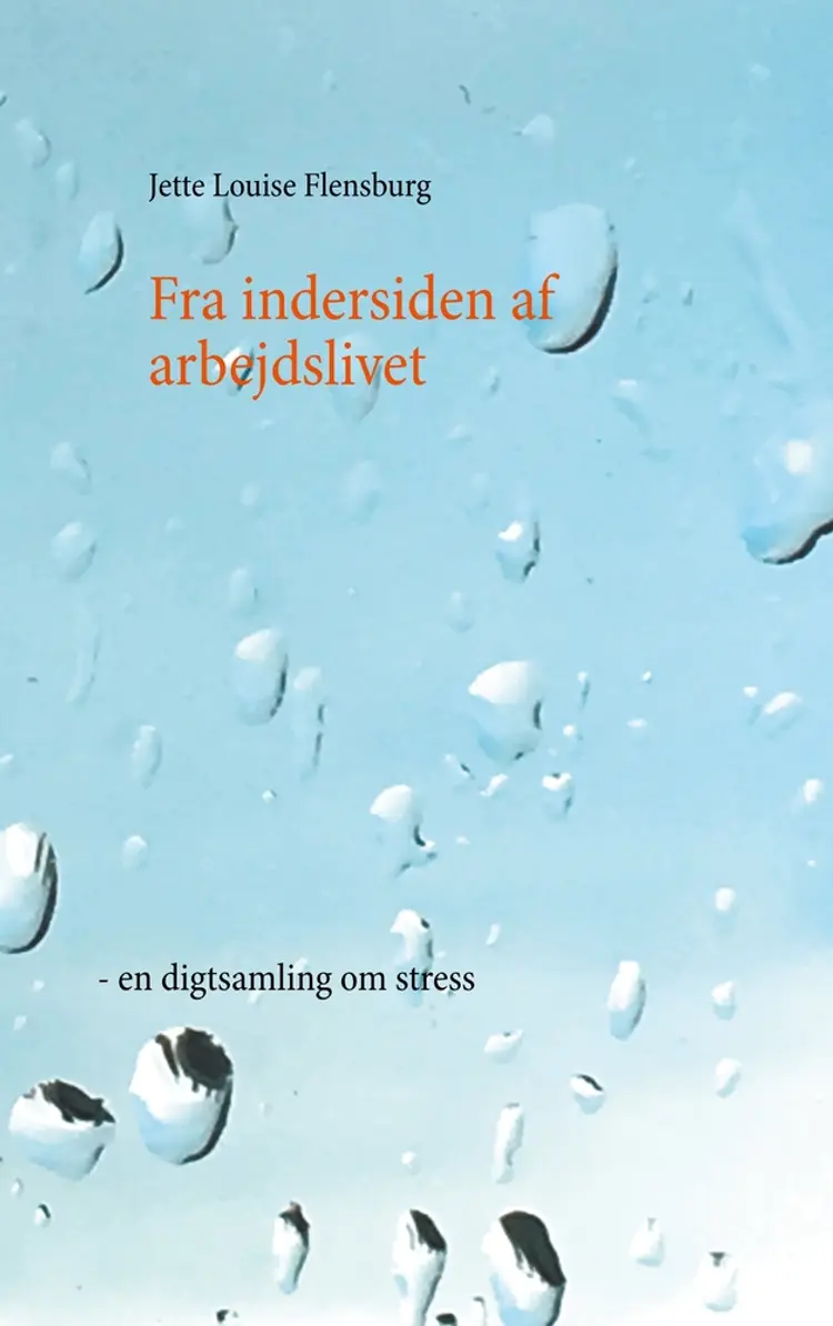 Fra indersiden af arbejdslivet af Jette Louise Flensburg