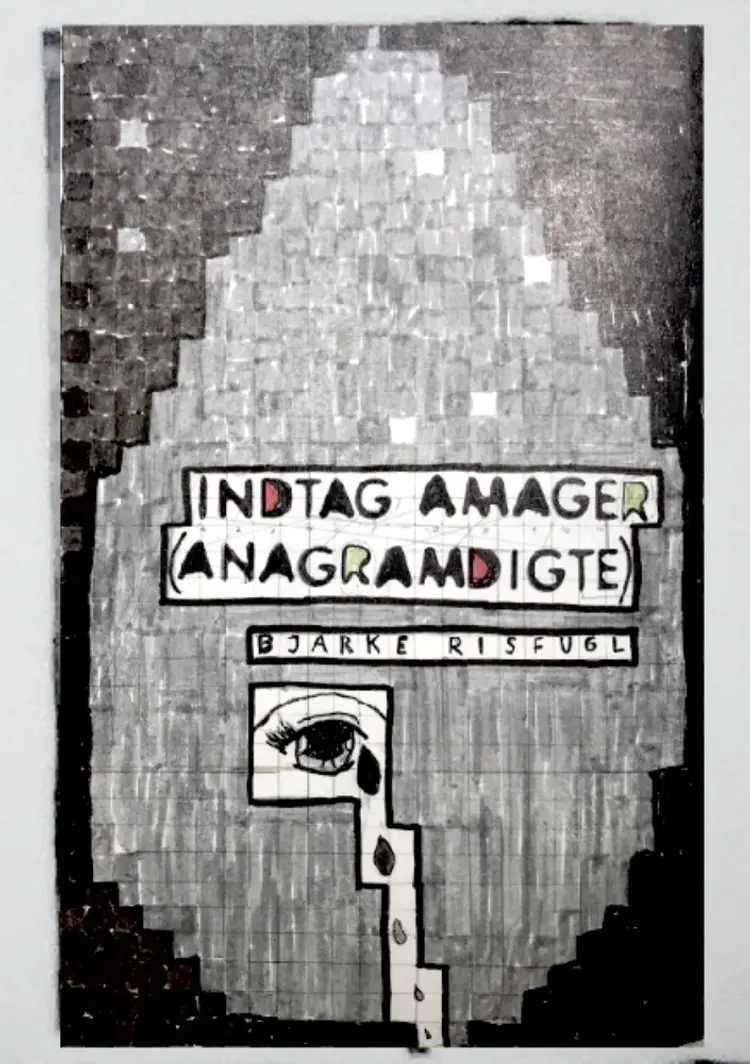 Indtag Amager af Bjarke Risfugl