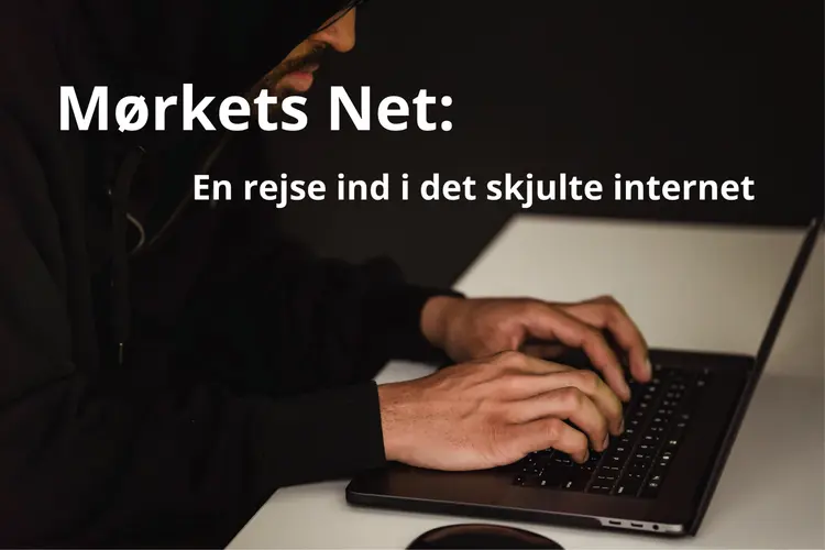 Mørkets Net af Palle Landair
