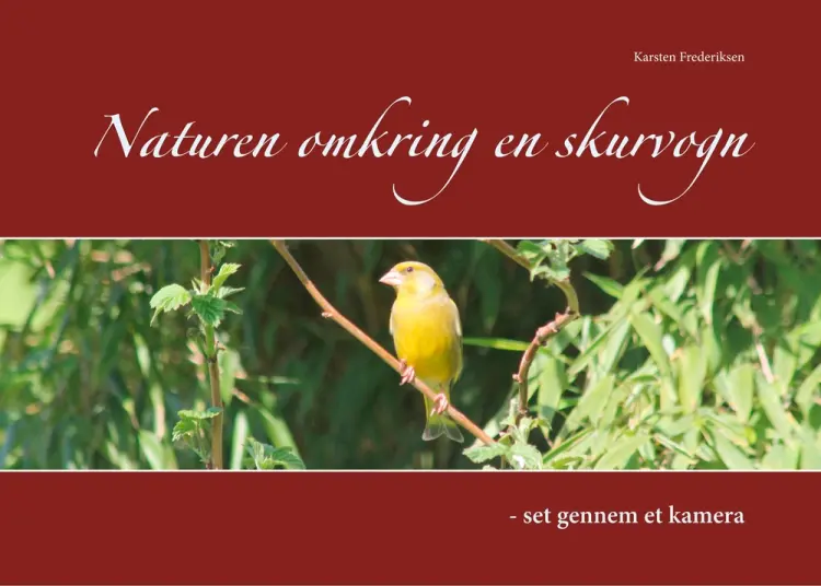 Naturen omkring en skurvogn af Karsten Frederiksen
