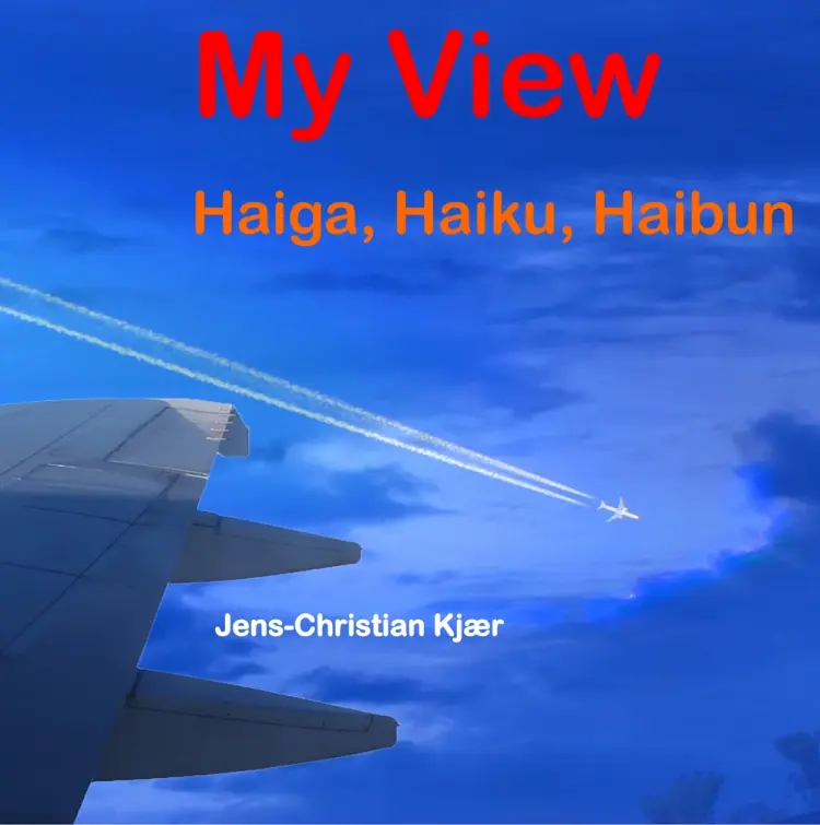 My view af Jens-Christian Kjær