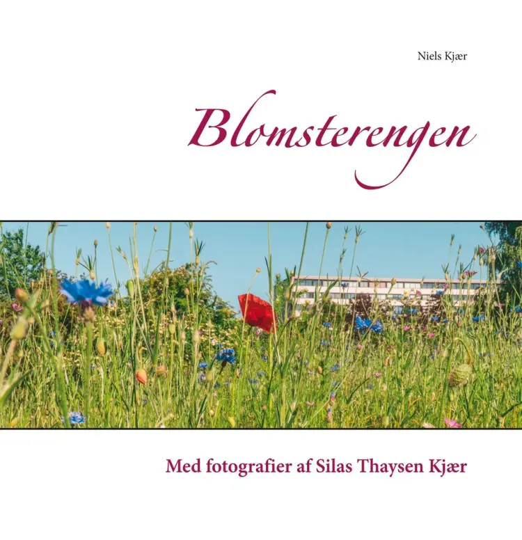Blomsterengen af Niels Kjær