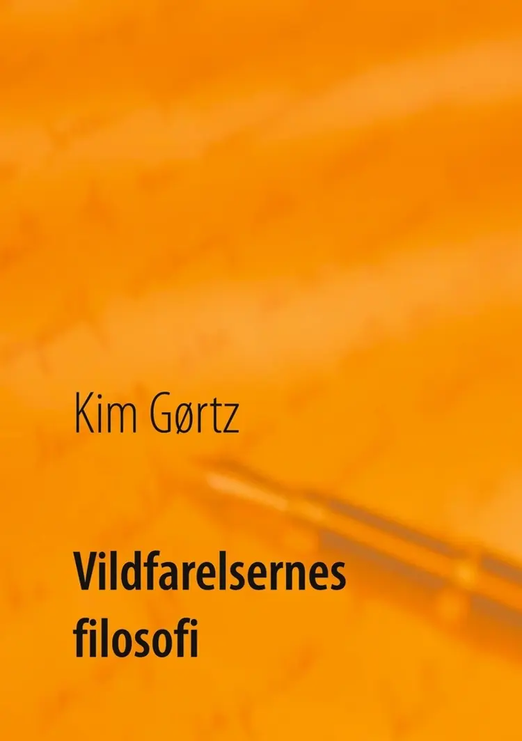 Vildfarelsernes filosofi af Kim Gørtz