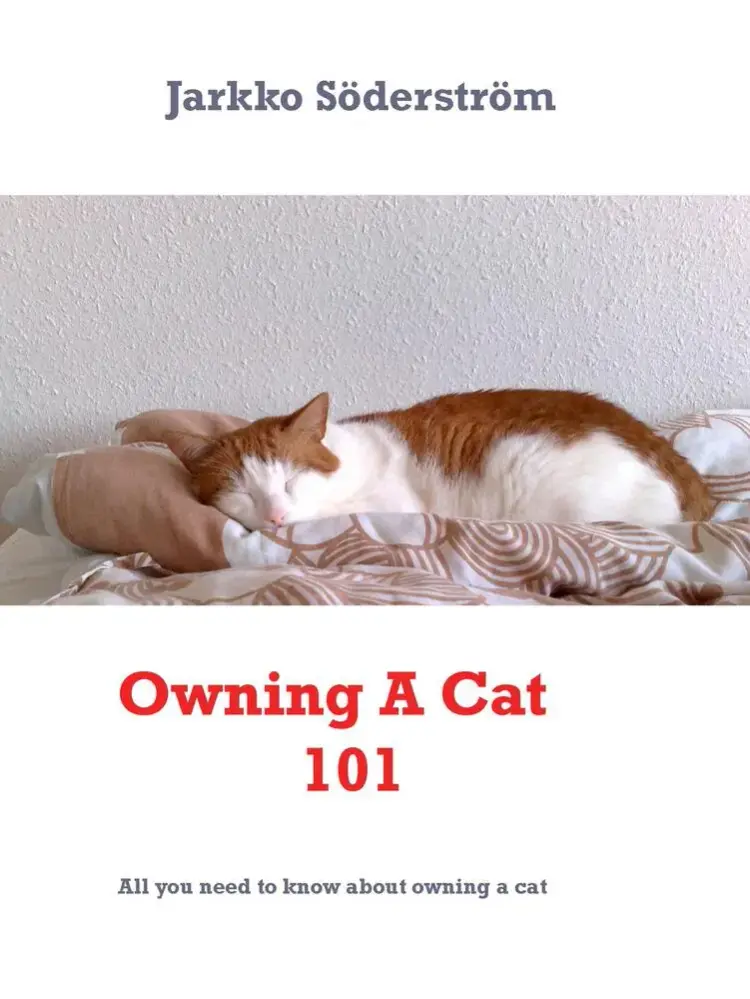 Owning A Cat 101 af Jarkko Söderström
