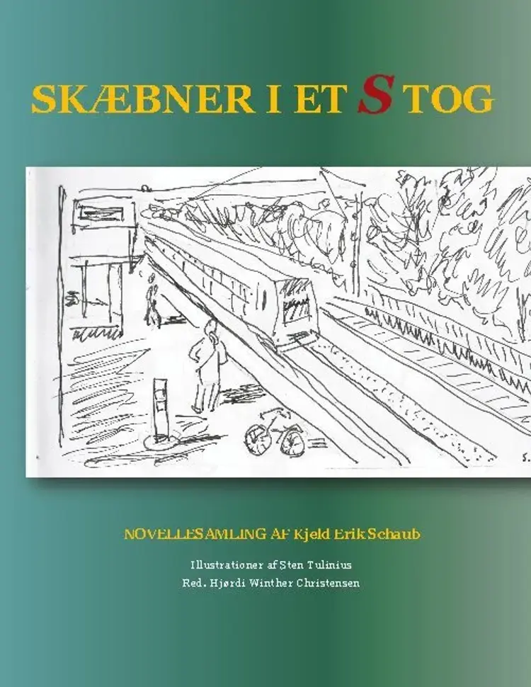 Skæbner i et s-tog af Kjeld Erik Schaub