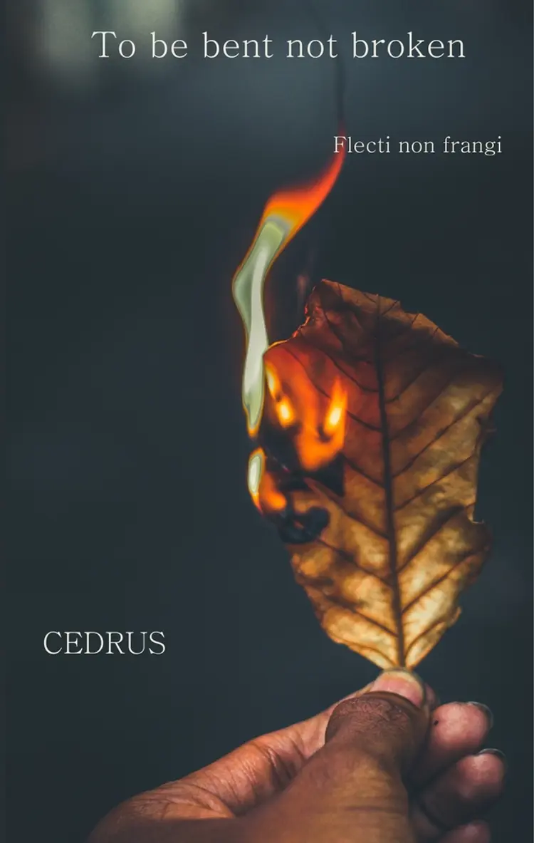 To be bent, not broken af Cedrus Poetry