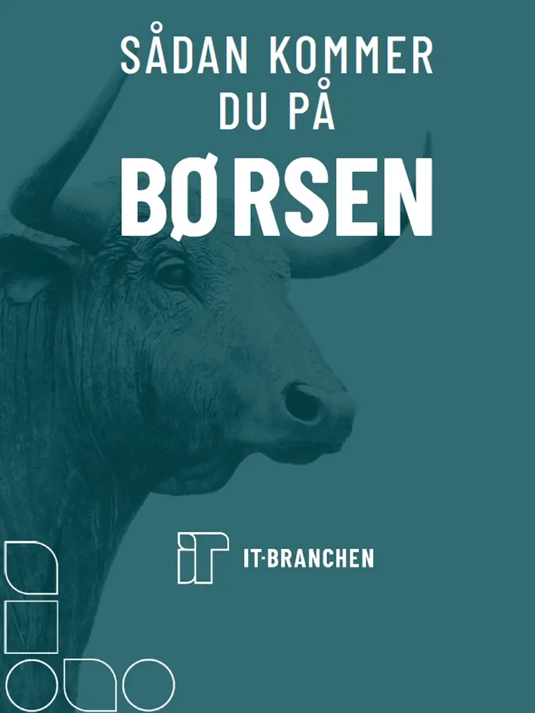 Sådan kommer du på børsen af Brancheorganisationen IT-Branchen